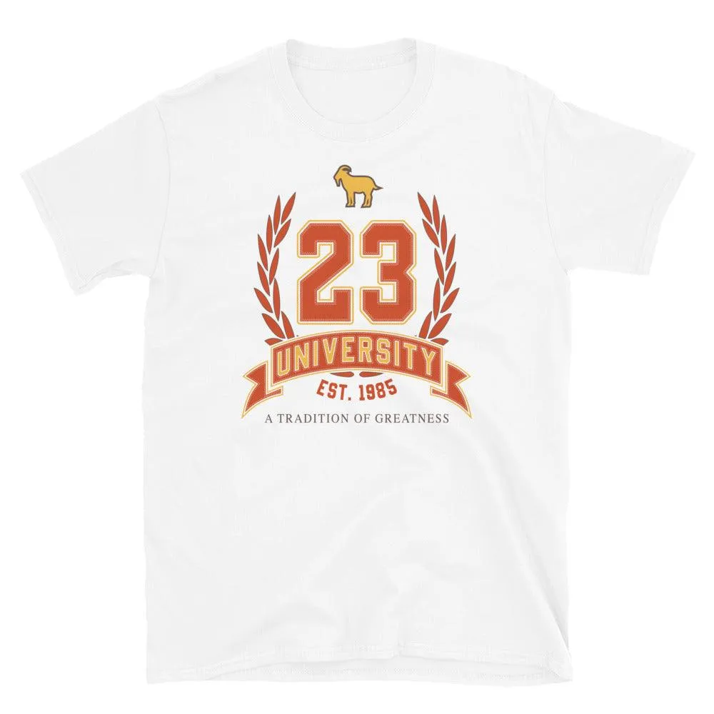 23 University Shirt To Match Maison Chateau Rouge Air Jordan 2